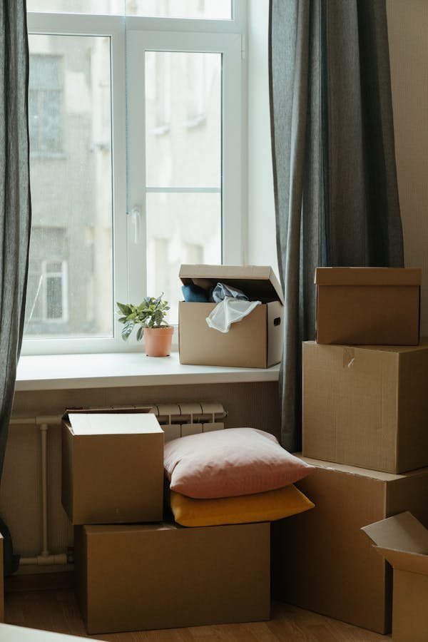Clermont-ferrand : guide des meilleures options de déménagement